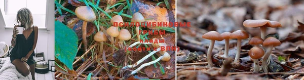 скорость Вязники