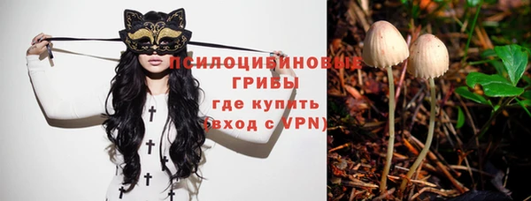 скорость Вяземский