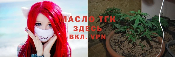 скорость Вяземский