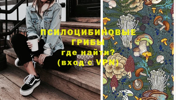 скорость Вяземский